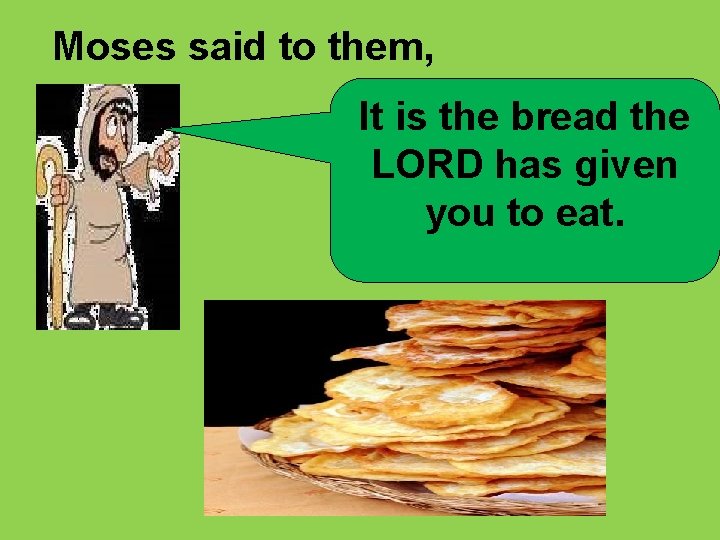  Moses said to them, It is the bread the LORD has given you