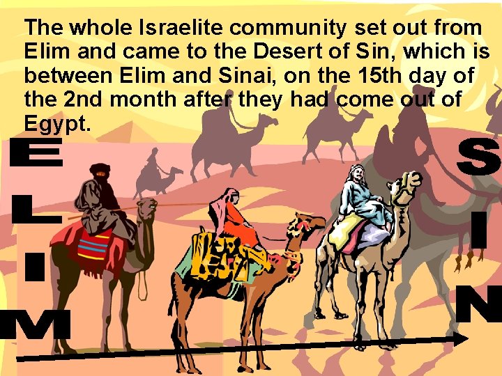  The whole Israelite community set out from Elim and came to the Desert