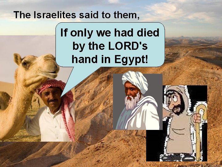 The Israelites said to them, If only we had died by the LORD's hand