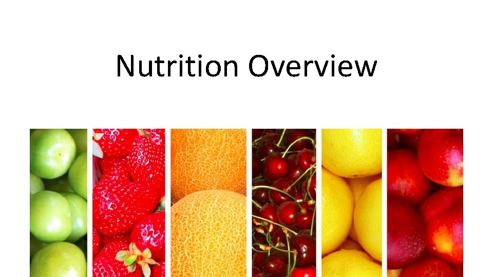 Nutrition Overview 