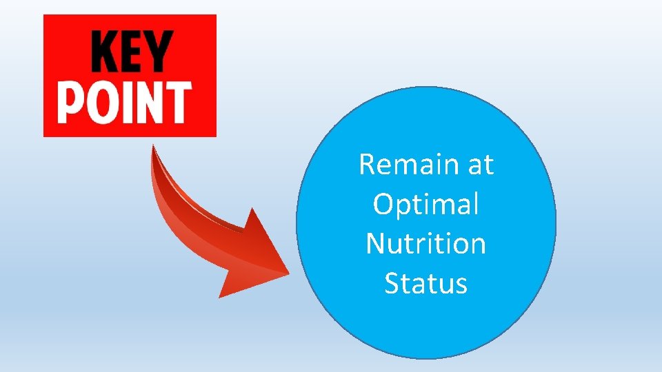 Remain at Optimal Nutrition Status 