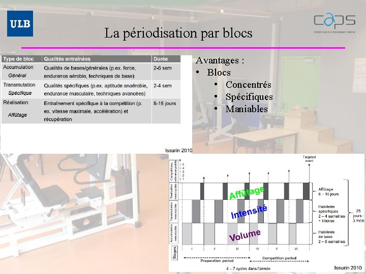 La périodisation par blocs Avantages : • Blocs • Concentrés • Spécifiques • Maniables