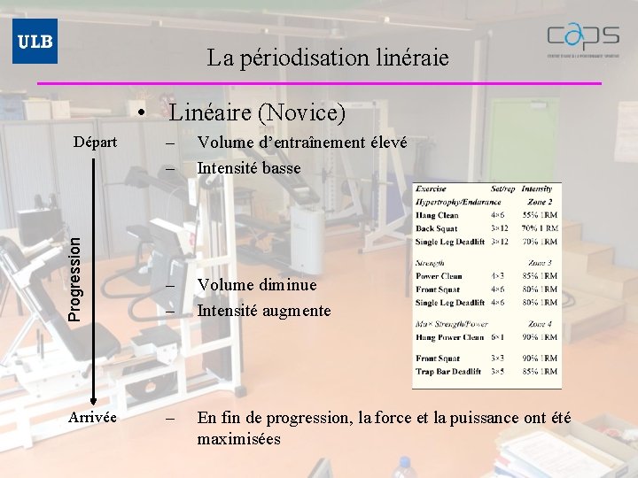 La périodisation linéraie – – Volume d’entraînement élevé Intensité basse Progression • Linéaire (Novice)