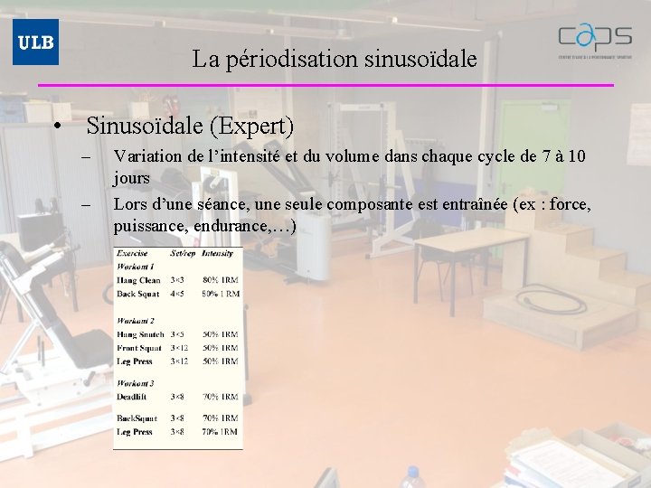 La périodisation sinusoïdale • Sinusoïdale (Expert) – – Variation de l’intensité et du volume