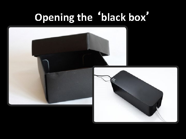 Opening the ‘black box’ 