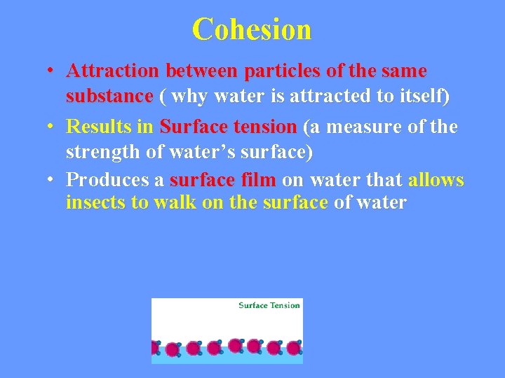 Cohesion • Attraction between particles of the same substance ( why water is attracted