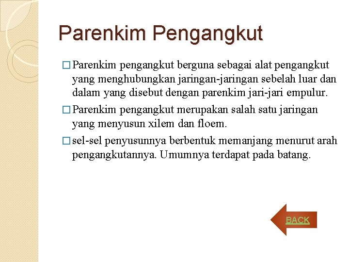 Parenkim Pengangkut � Parenkim pengangkut berguna sebagai alat pengangkut yang menghubungkan jaringan-jaringan sebelah luar Parenkim Pengangkut � Parenkim pengangkut berguna sebagai alat pengangkut yang menghubungkan jaringan-jaringan sebelah luar