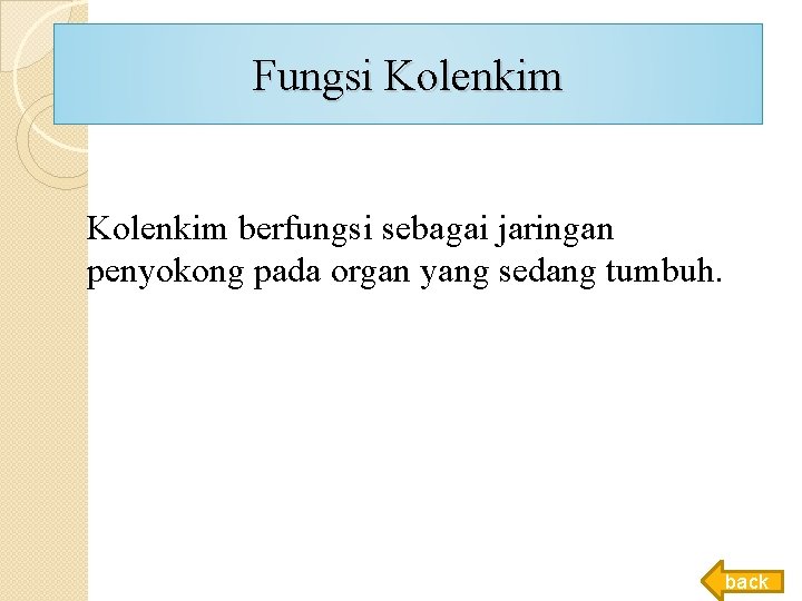Fungsi Kolenkim berfungsi sebagai jaringan penyokong pada organ yang sedang tumbuh. back Fungsi Kolenkim berfungsi sebagai jaringan penyokong pada organ yang sedang tumbuh. back