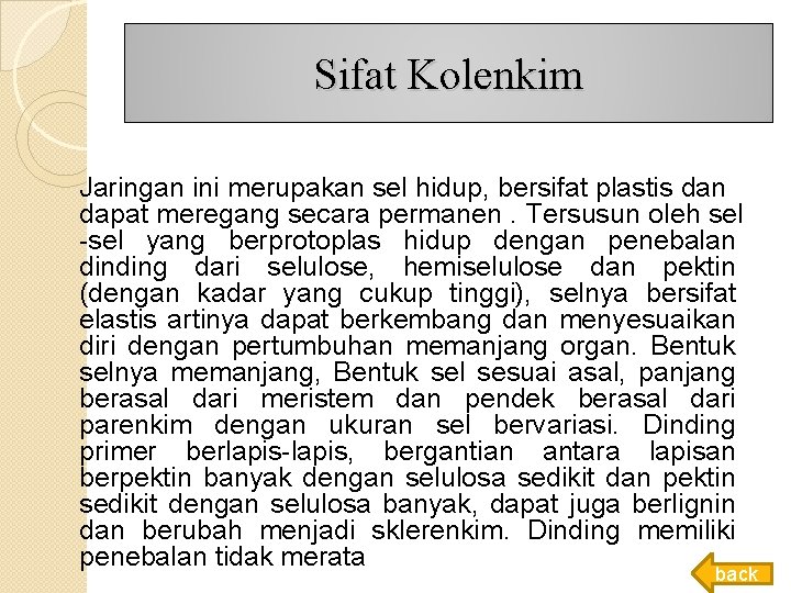 Sifat Kolenkim Jaringan ini merupakan sel hidup, bersifat plastis dan dapat meregang secara permanen. Sifat Kolenkim Jaringan ini merupakan sel hidup, bersifat plastis dan dapat meregang secara permanen.