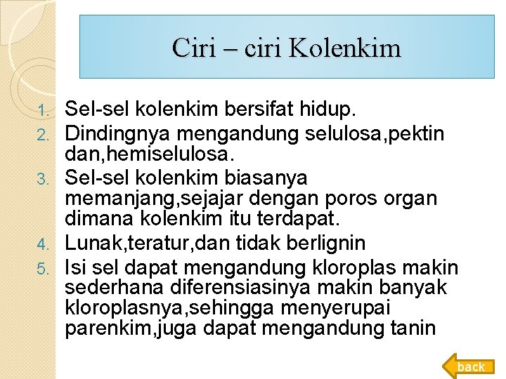 Ciri – ciri Kolenkim Sel-sel kolenkim bersifat hidup. Dindingnya mengandung selulosa, pektin dan, hemiselulosa. Ciri – ciri Kolenkim Sel-sel kolenkim bersifat hidup. Dindingnya mengandung selulosa, pektin dan, hemiselulosa.
