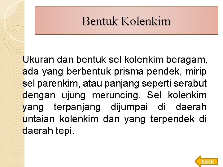 Bentuk Kolenkim Ukuran dan bentuk sel kolenkim beragam, ada yang berbentuk prisma pendek, mirip Bentuk Kolenkim Ukuran dan bentuk sel kolenkim beragam, ada yang berbentuk prisma pendek, mirip
