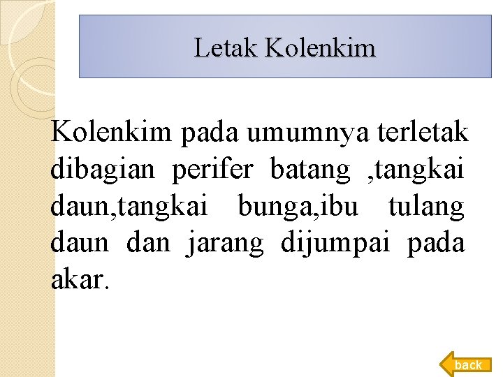 Letak Kolenkim pada umumnya terletak dibagian perifer batang , tangkai daun, tangkai bunga, ibu Letak Kolenkim pada umumnya terletak dibagian perifer batang , tangkai daun, tangkai bunga, ibu