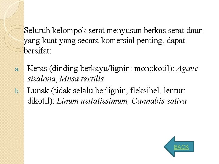 Seluruh kelompok serat menyusun berkas serat daun yang kuat yang secara komersial penting, dapat Seluruh kelompok serat menyusun berkas serat daun yang kuat yang secara komersial penting, dapat