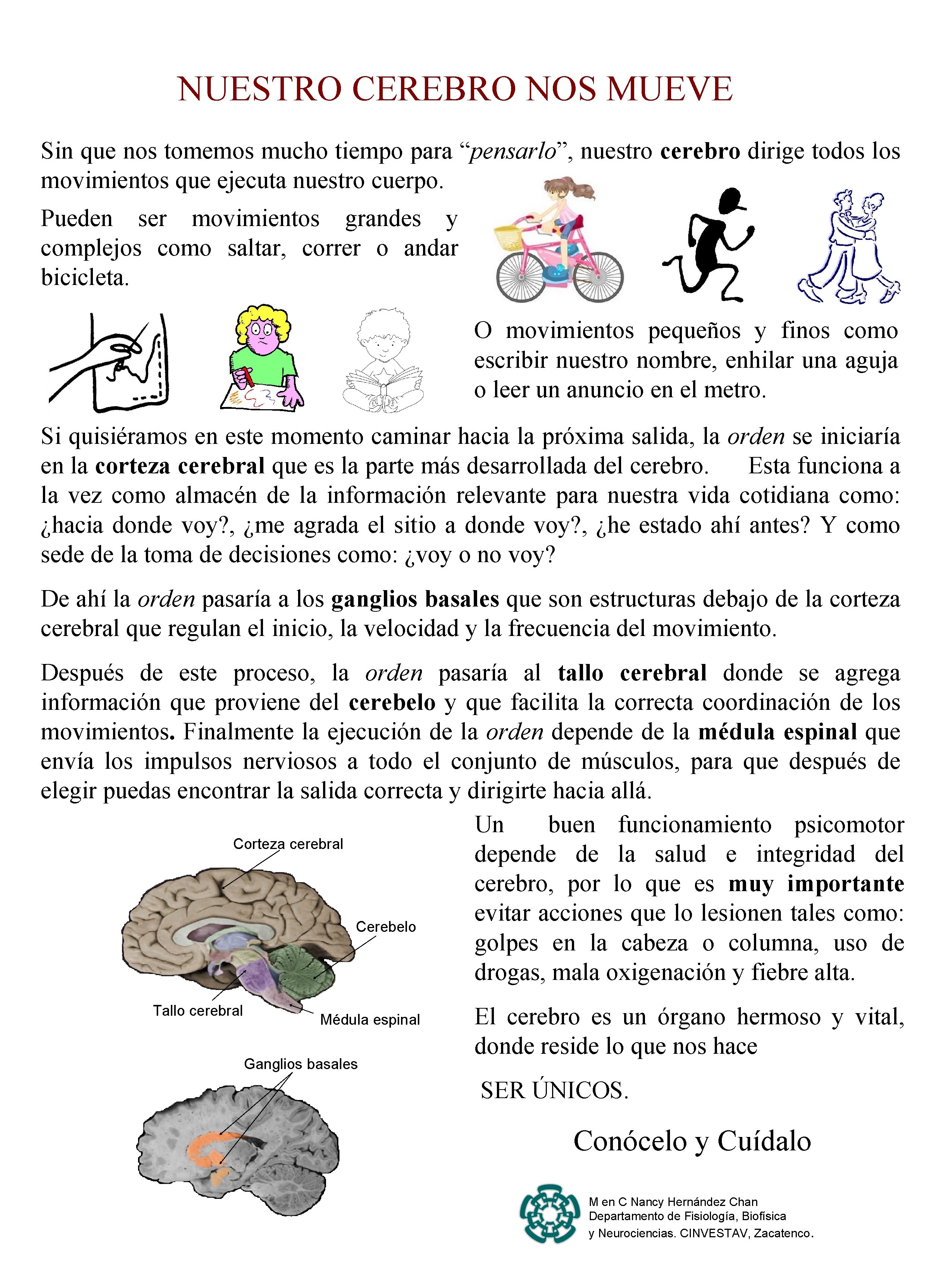 NUESTRO CEREBRO NOS MUEVE Sin que nos tomemos mucho tiempo para “pensarlo”, nuestro cerebro