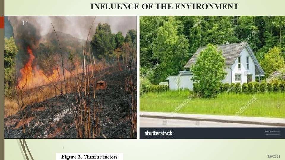 INFLUENCE OF THE ENVIRONMENT 11 1 Figure 3. Climatic factors 3/6/2021 