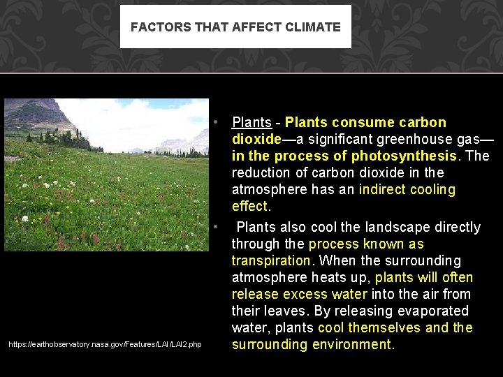 FACTORS THAT AFFECT CLIMATE https: //earthobservatory. nasa. gov/Features/LAI 2. php • Plants - Plants