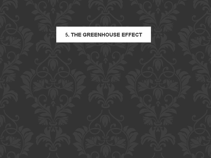 5. THE GREENHOUSE EFFECT 