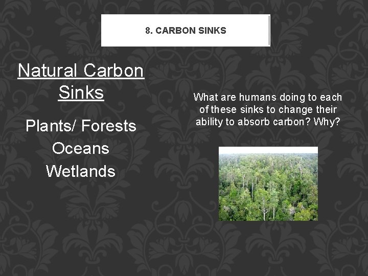 8. CARBON SINKS Natural Carbon Sinks Plants/ Forests Oceans Wetlands What are humans doing