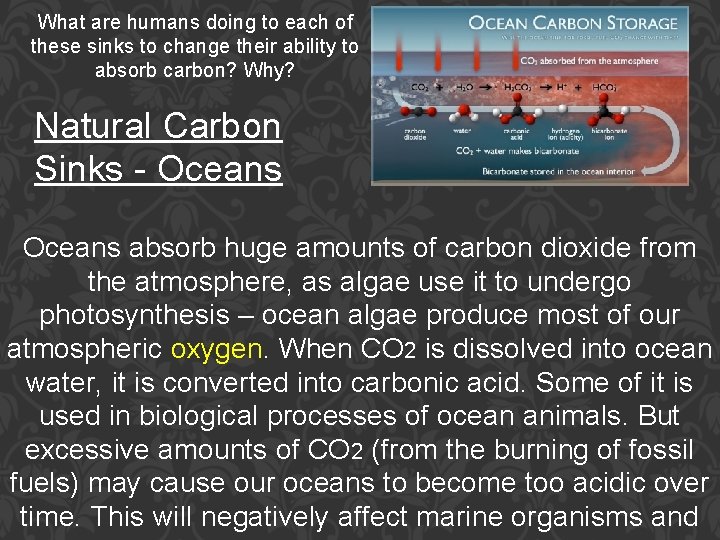 What are humans doing to each of these sinks to change their ability to