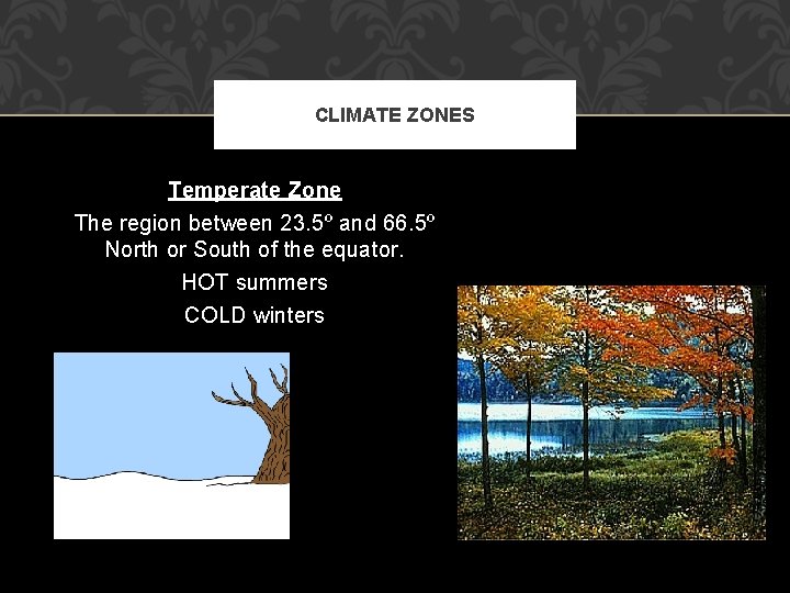 CLIMATE ZONES Temperate Zone The region between 23. 5º and 66. 5º North or