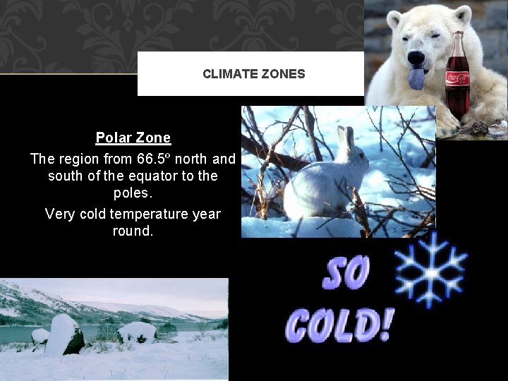 CLIMATE ZONES Polar Zone The region from 66. 5º north and south of the