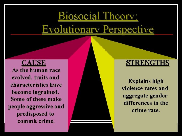 Biosocial Theory: Evolutionary Perspective CAUSE As the human race evolved, traits and characteristics have