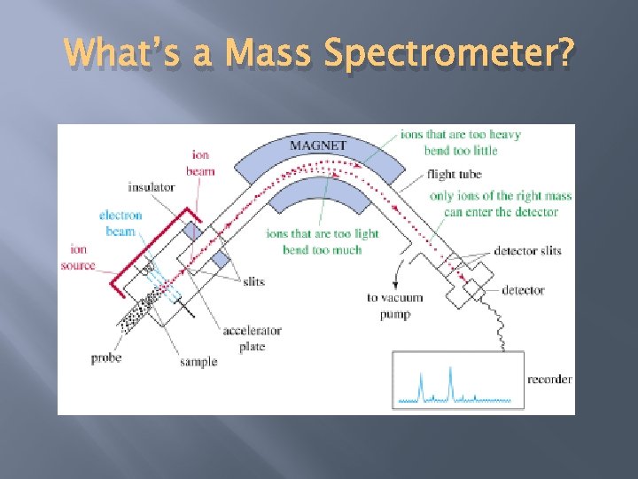 What’s a Mass Spectrometer? 