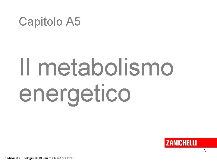 Capitolo A 5 Il metabolismo energetico 3 Sadava et al. Biologia. blu © Zanichelli