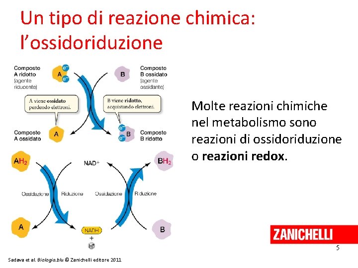 Un tipo di reazione chimica: l’ossidoriduzione Molte reazioni chimiche nel metabolismo sono reazioni di