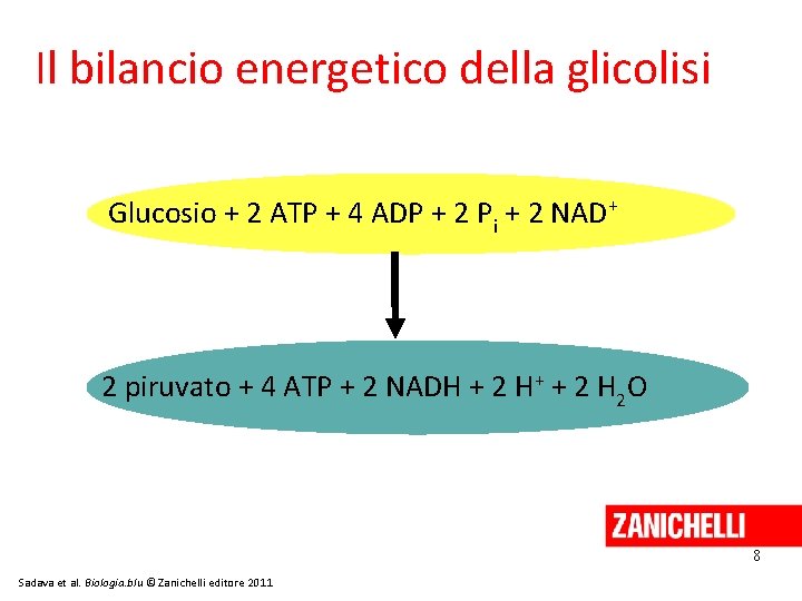 Il bilancio energetico della glicolisi Glucosio + 2 ATP + 4 ADP + 2