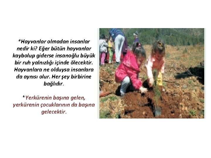 *Hayvanlar olmadan insanlar nedir ki? Eğer bütün hayvanlar kaybolup giderse insanoğlu büyük bir ruh