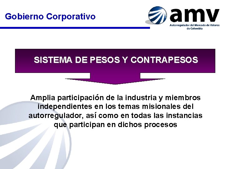 Gobierno Corporativo SISTEMA DE PESOS Y CONTRAPESOS Amplia participación de la industria y miembros