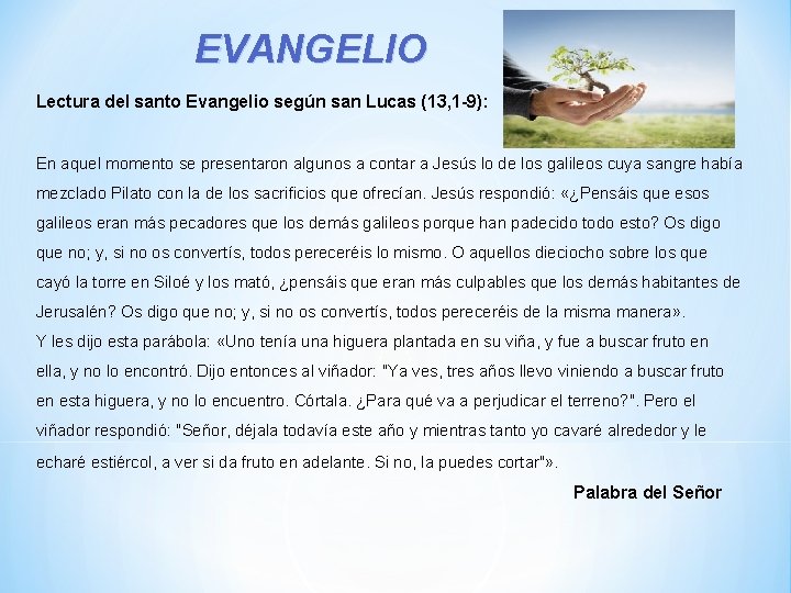 EVANGELIO Lectura del santo Evangelio según san Lucas (13, 1 -9): En aquel momento