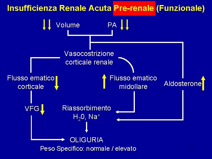 Insufficienza Renale Acuta Pre-renale (Funzionale) Volume PA Vasocostrizione corticale renale Flusso ematico corticale VFG