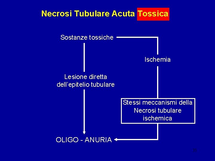 Necrosi Tubulare Acuta Tossica Sostanze tossiche Ischemia Lesione diretta dell’epitelio tubulare Stessi meccanismi della