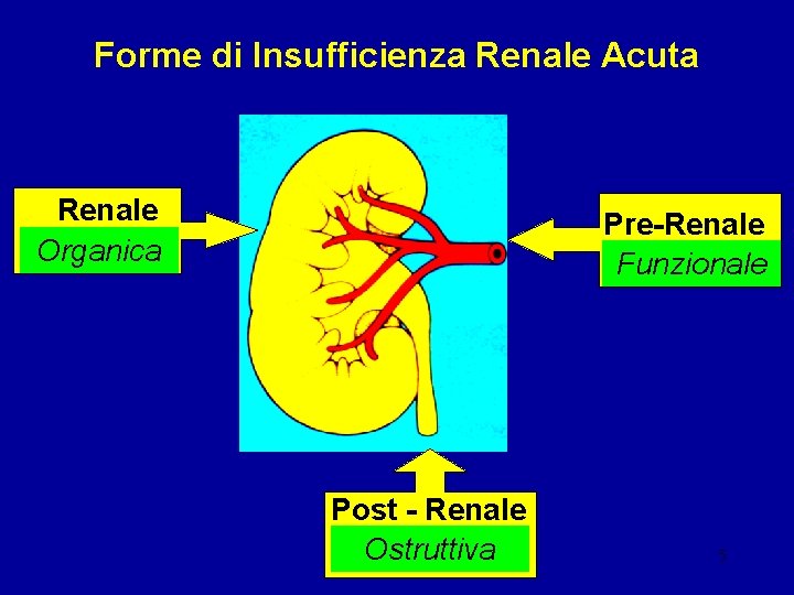 Forme di Insufficienza Renale Acuta Renale Organica Pre-Renale Funzionale Post - Renale Ostruttiva 5