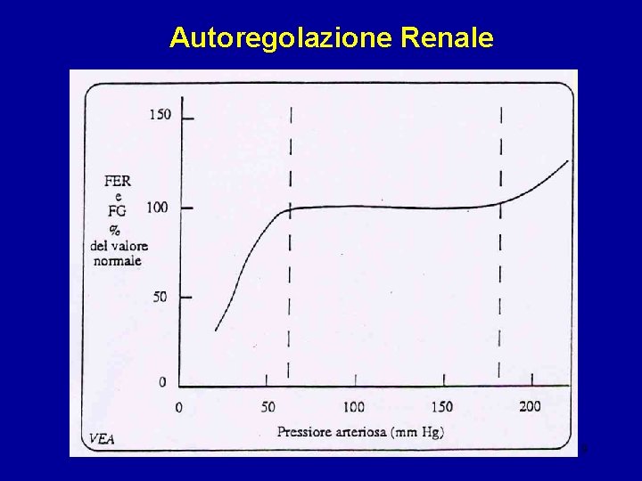 Autoregolazione Renale 9 