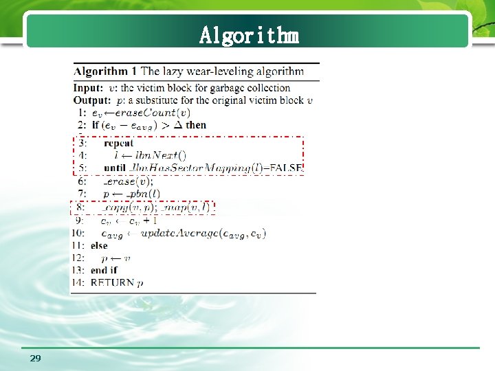 Algorithm 29 