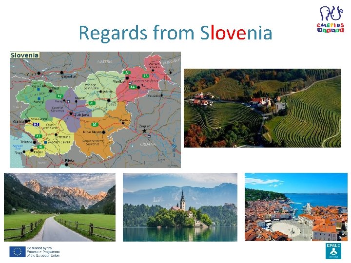 Regards from Slovenia 