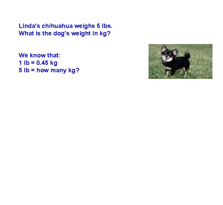 Linda's chihuahua weighs 5 lbs. What is the dog's weight in kg? We know