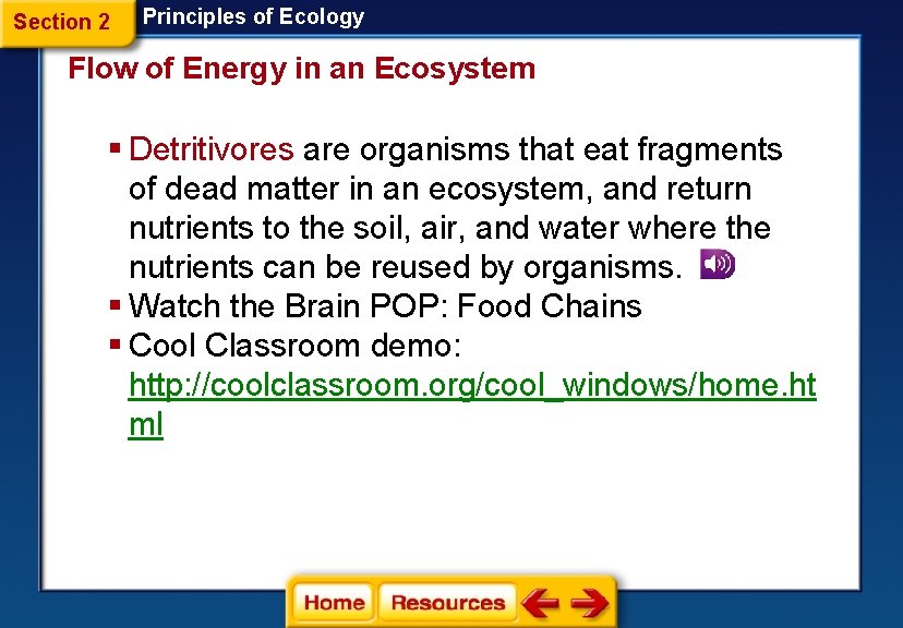 Section 2 Principles of Ecology Flow of Energy in an Ecosystem § Detritivores are
