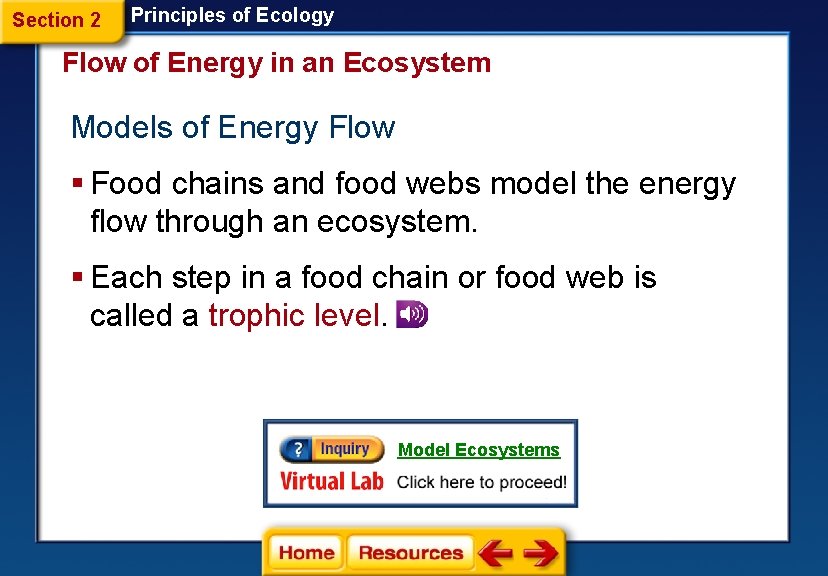 Section 2 Principles of Ecology Flow of Energy in an Ecosystem Models of Energy