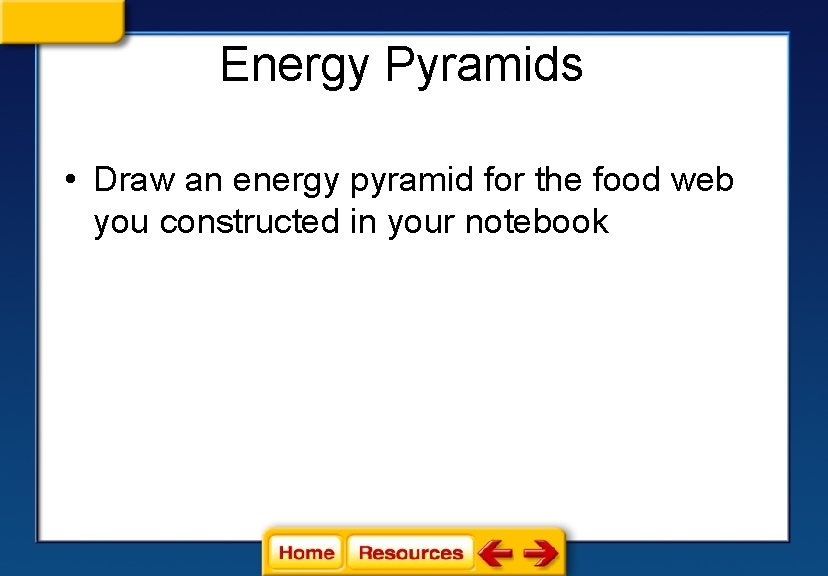 Energy Pyramids • Draw an energy pyramid for the food web you constructed in