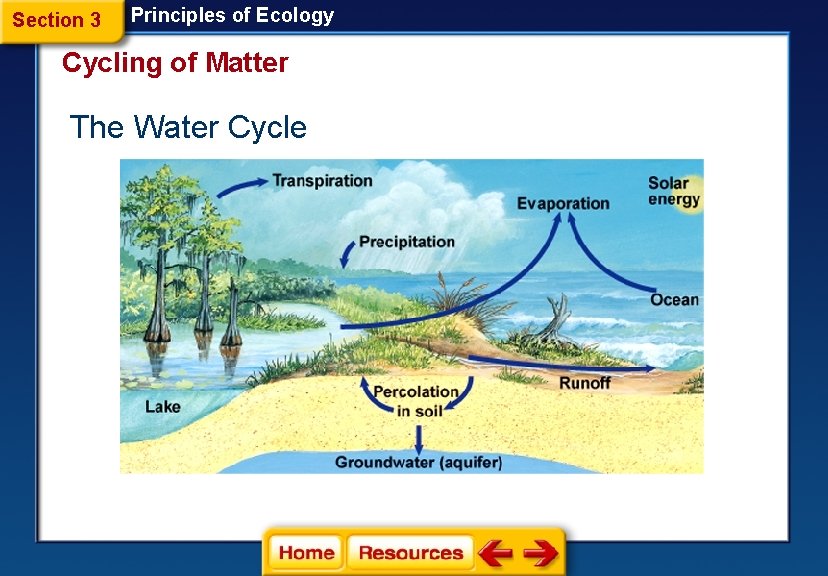 Section 3 Principles of Ecology Cycling of Matter The Water Cycle 