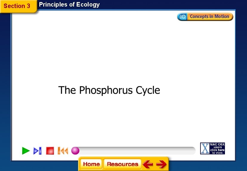 Section 3 Principles of Ecology 