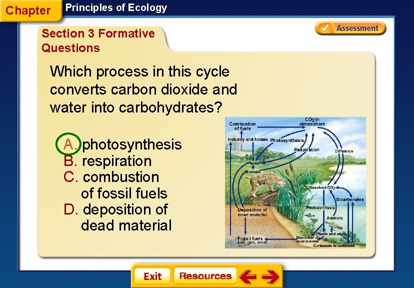 Chapter Principles of Ecology Section 3 Formative Questions Which process in this cycle converts