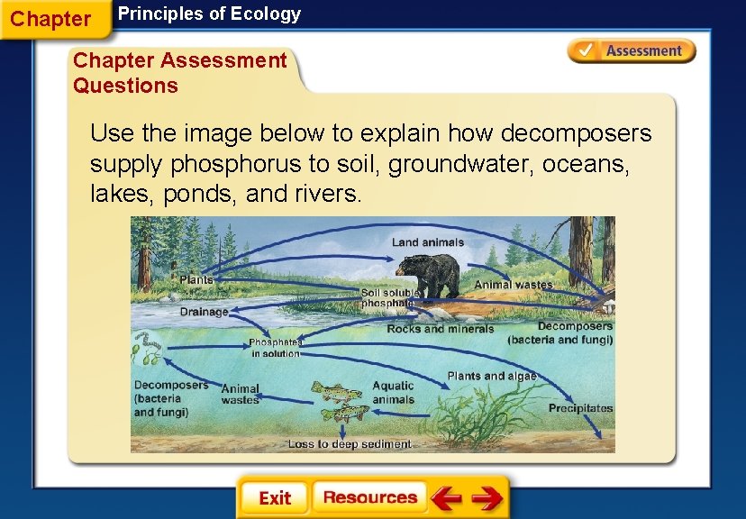 Chapter Principles of Ecology Chapter Assessment Questions Use the image below to explain how