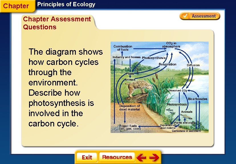 Chapter Principles of Ecology Chapter Assessment Questions The diagram shows how carbon cycles through