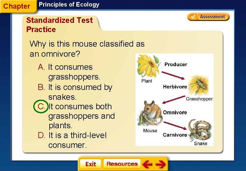 Chapter Principles of Ecology Standardized Test Practice Why is this mouse classified as an