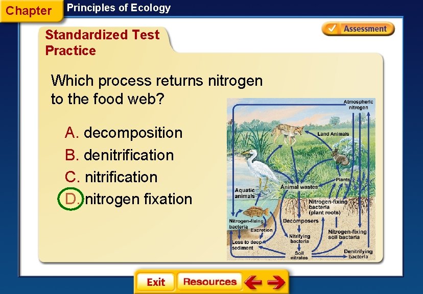 Chapter Principles of Ecology Standardized Test Practice Which process returns nitrogen to the food